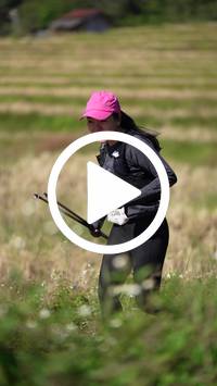 BIB:  <button type="button" onclick="openModal(26787251)" class="btn btn-primary btn-sm float-right" data-toggle="modal" data-target=".modal-high-quality">
                <i class="fa fa-download"></i> Download
                </button>